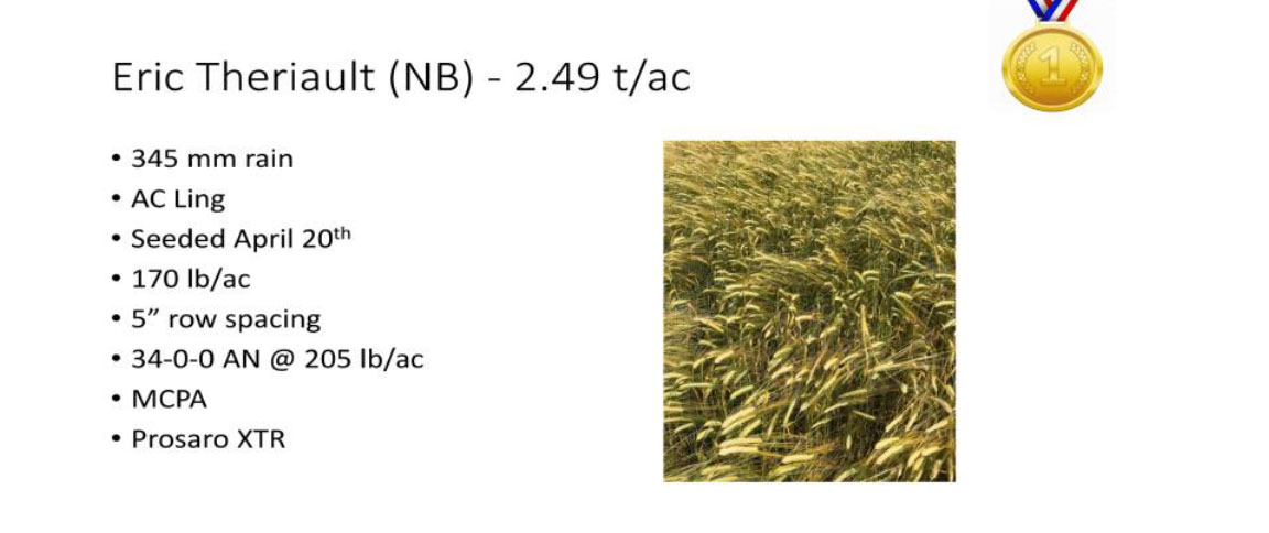 Top barley yield information